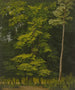 Studio delle foreste di alberi decidui nel petrolio - Christian Heerdt — vista dell’opera