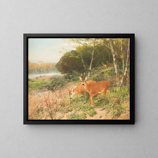 Christian Krner - Red deer on a forest clearing.webp