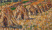 Campo di grano - Christian Rohlfs — vista dell’opera