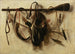 Natura morta con strumenti di falconeria - Christoffel Pierson — vista dell’opera