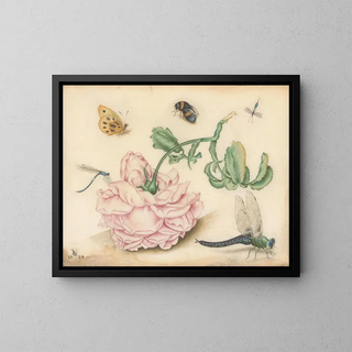 Christoffel van den Berghe - A Rose and Five Insects.webp