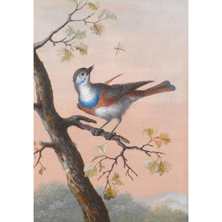 Christoph Ludwig Agricola - A Bluethroat.webp