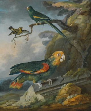 Christophe Huet - A Parrot A Perroquet And A Gold Finch At The Base Of A Tree.webp