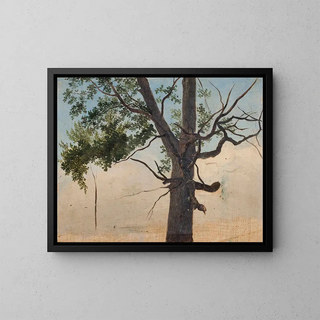 Chrystian Breslauer - Solitary tree.webp