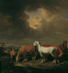 Cinque cavalli da lavoro - Johann Baptist Dallinger von Dalling — vista dell’opera