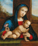 Madonna con Bambino - Cerchio di Francesco Francia — vista dell’opera