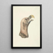Testa di un avvoltoio oreillard Otogyps auricularis Daud - Cerchio di François Levaillant — quadro incorniciato alla parete