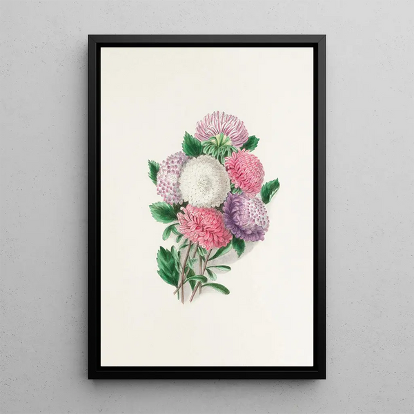 Asters - Clarissa Munger Badger — quadro incorniciato alla parete