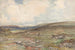 Lande con pecore e pastore - Claude Hayes — vista dell’opera