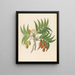Decandria Mon Harpephyllum caffrum - Clemenz Heinrich Wehdemann — quadro incorniciato alla parete