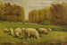 Pecore al pascolo - Clinton Loveridge — vista dell’opera