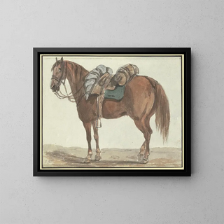 Conrad Gessner - Gesattelter Brauner nach links.webp