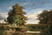 Le Marais - Constant Troyon — vista dell’opera