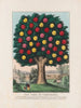 L'Albero della temperanza - Currier Ives — vista dell’opera