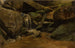 Cascata - Curt Agthe — vista dell’opera