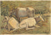 Vaches - Cyprian Majernik — vista dell’opera