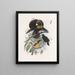 Parotia de six pence - Daniel Giraud Elliot — quadro incorniciato alla parete
