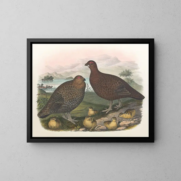 Lagopède des saules - Daniel Giraud Elliot — quadro incorniciato alla parete