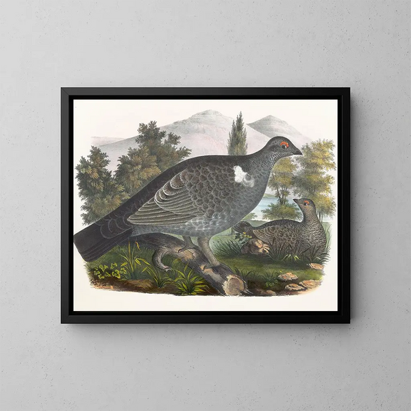 Grouse di Richardson - Daniel Giraud Elliot — quadro incorniciato alla parete