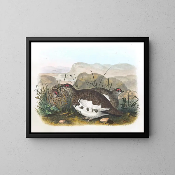 Lagopède des saules - Daniel Giraud Elliot — quadro incorniciato alla parete