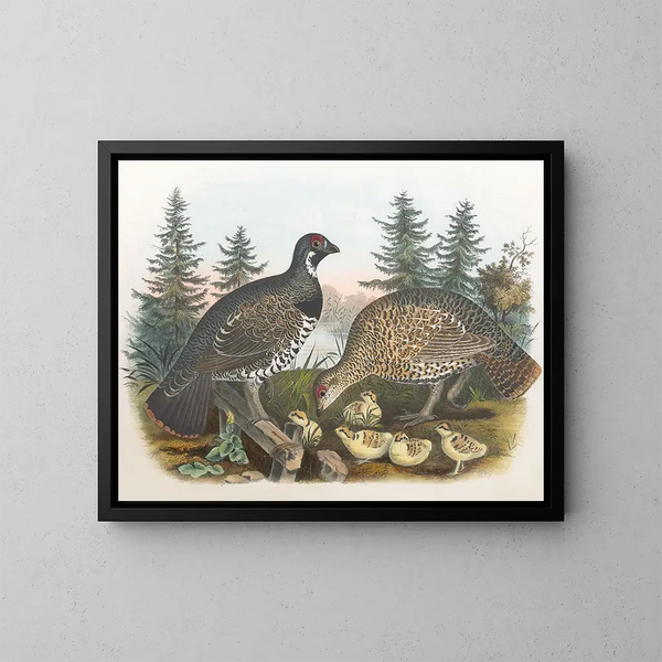 Tétras del Canada - Daniel Giraud Elliot — quadro incorniciato alla parete