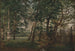 Il parco dei cervi a nord di Copenaghen - Dankvart Dreyer — vista dell’opera