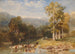 Jonction de la Llugwy et de la Conway - David Cox Jnr — vista dell’opera