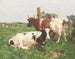 Bovini di Ayrshire - David Gauld — vista dell’opera
