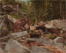 Studio di North Conway, New Hampshire - David Johnson — vista dell’opera