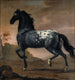 La vita di Carlo XI al Tigre - David Klöcker Ehrenstrahl — vista dell’opera