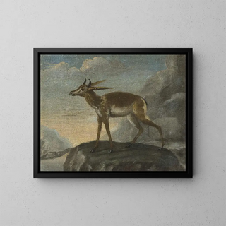David Kock - Bengal deer.webp