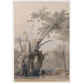Riproduzione del dipinto L'albero sacro di Metereah - David Roberts