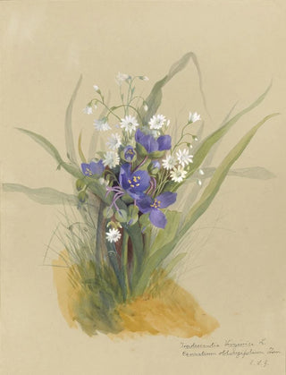 Deborah Griscom Passmore - Deborah Griscom Passmore watercolor album Pl01.webp