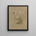 Album acquarello di Deborah Griscom Passmore Pl04 - Deborah Griscom Passmore — quadro incorniciato alla parete