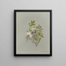 Album acquerello di Deborah Griscom Passmore Pl09 - Deborah Griscom Passmore — quadro incorniciato alla parete