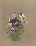 Album acquerello di Deborah Griscom Passmore Pl17 - Deborah Griscom Passmore — vista dell’opera