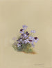 Album acquerello di Deborah Griscom Passmore Pl18 - Deborah Griscom Passmore — vista dell’opera