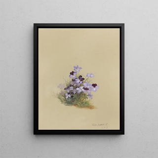 Deborah Griscom Passmore - Deborah Griscom Passmore watercolor album Pl18.webp