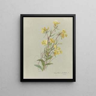 Deborah Griscom Passmore - Deborah Griscom Passmore watercolor album Pl22.webp