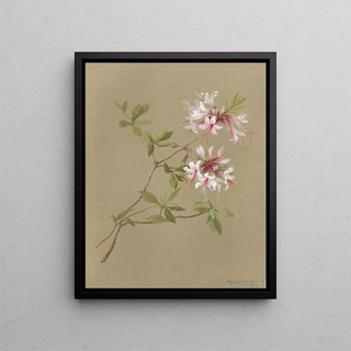 Deborah Griscom Passmore - Deborah Griscom Passmore watercolor album Pl24.webp