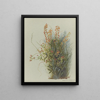 Deborah Griscom Passmore - Deborah Griscom Passmore watercolor album Pl27.webp