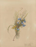 Album acquerello di Deborah Griscom Passmore Pl37 - Deborah Griscom Passmore — vista dell’opera