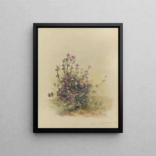 Deborah Griscom Passmore - Deborah Griscom Passmore watercolor album Pl38.webp