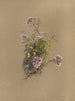 Album acquerello di Deborah Griscom Passmore Pl39 - Deborah Griscom Passmore — vista dell’opera