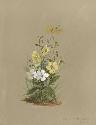 Deborah Griscom Passmore - Deborah Griscom Passmore watercolor album Pl41.webp