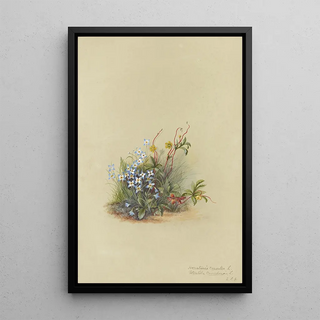 Deborah Griscom Passmore - Deborah Griscom Passmore watercolor album Pl43.webp