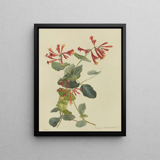 Deborah Griscom Passmore - Deborah Griscom Passmore watercolor album Pl44.webp