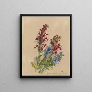 Deborah Griscom Passmore - Deborah Griscom Passmore watercolor album Pl45.webp