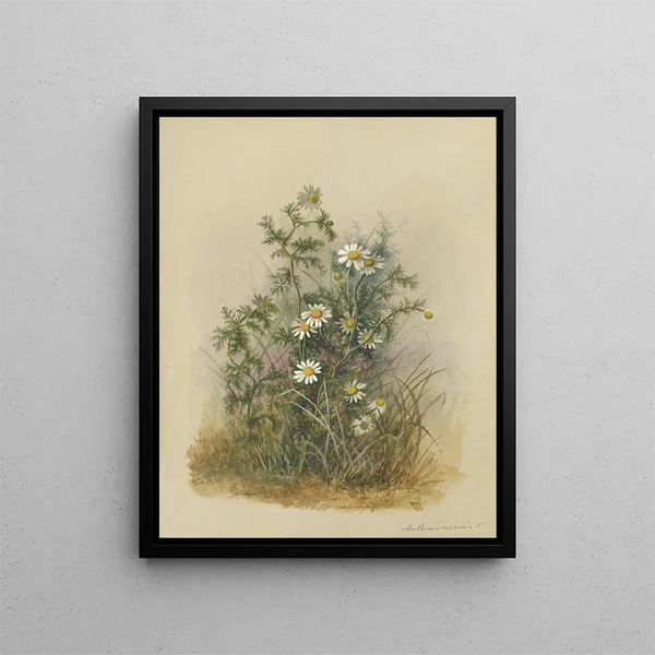 Deborah Griscom Passmore - Deborah Griscom Passmore watercolor album Pl53.webp