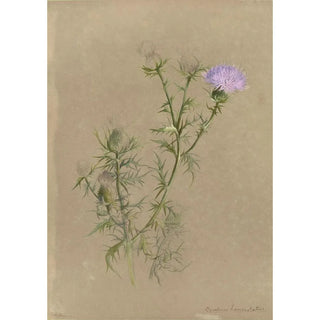 Deborah Griscom Passmore - Deborah Griscom Passmore watercolor album Pl57.webp